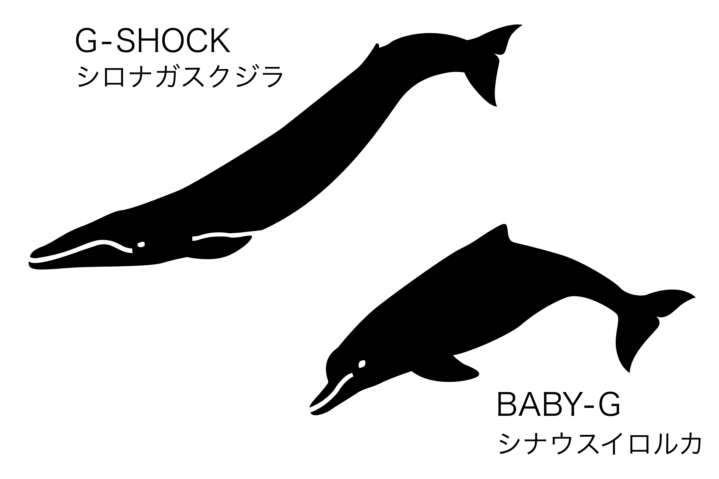 G-SHOCK/BABY-G バッィライト　イラスト