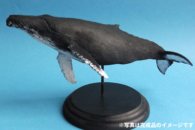 ねんどで作るザトウクジラ（イメージ）