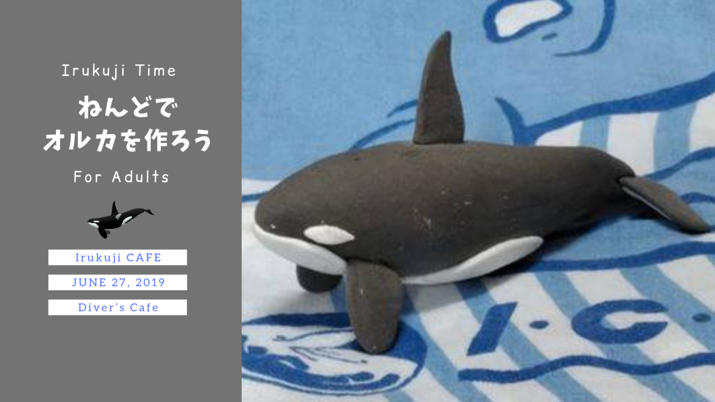 19年6月27日 木 Irukujicafe 大人のイルクジ時間 ねんどでオルカをつくろう Icerc Japan