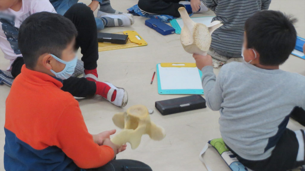 八千代市立高津小学校で 海の環境学習教室を行いました Icerc Japan