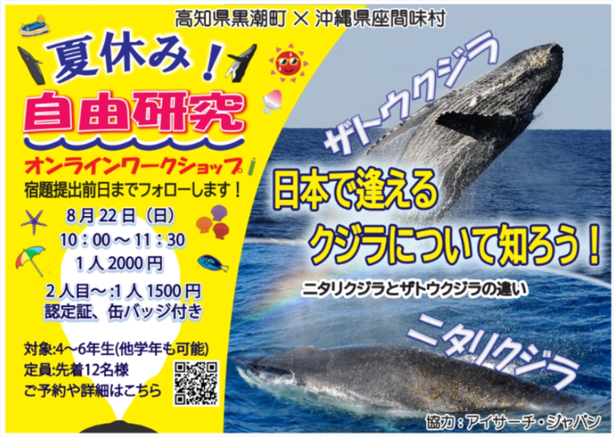 協力イベント］夏休み自由研究オンラインワークショップ「日本で逢える