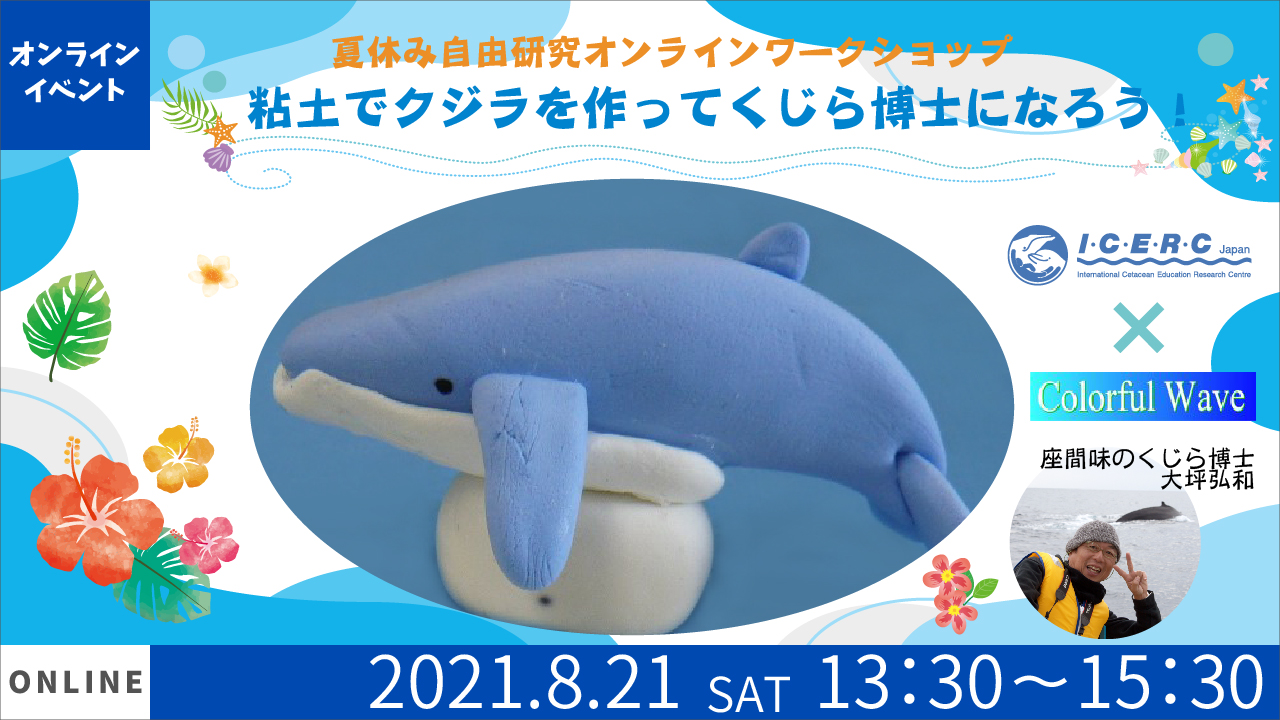 夏休み自由研究オンラインワークショップ 粘土でザトウクジラを作ってくじら博士になろう Icerc Japan