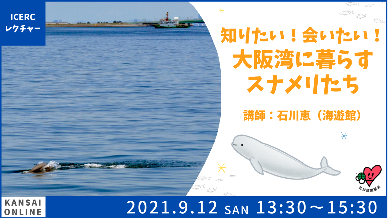 ICERCレクチャー］知りたい！会いたい！大阪湾に暮らすスナメリたち | ICERC Japan