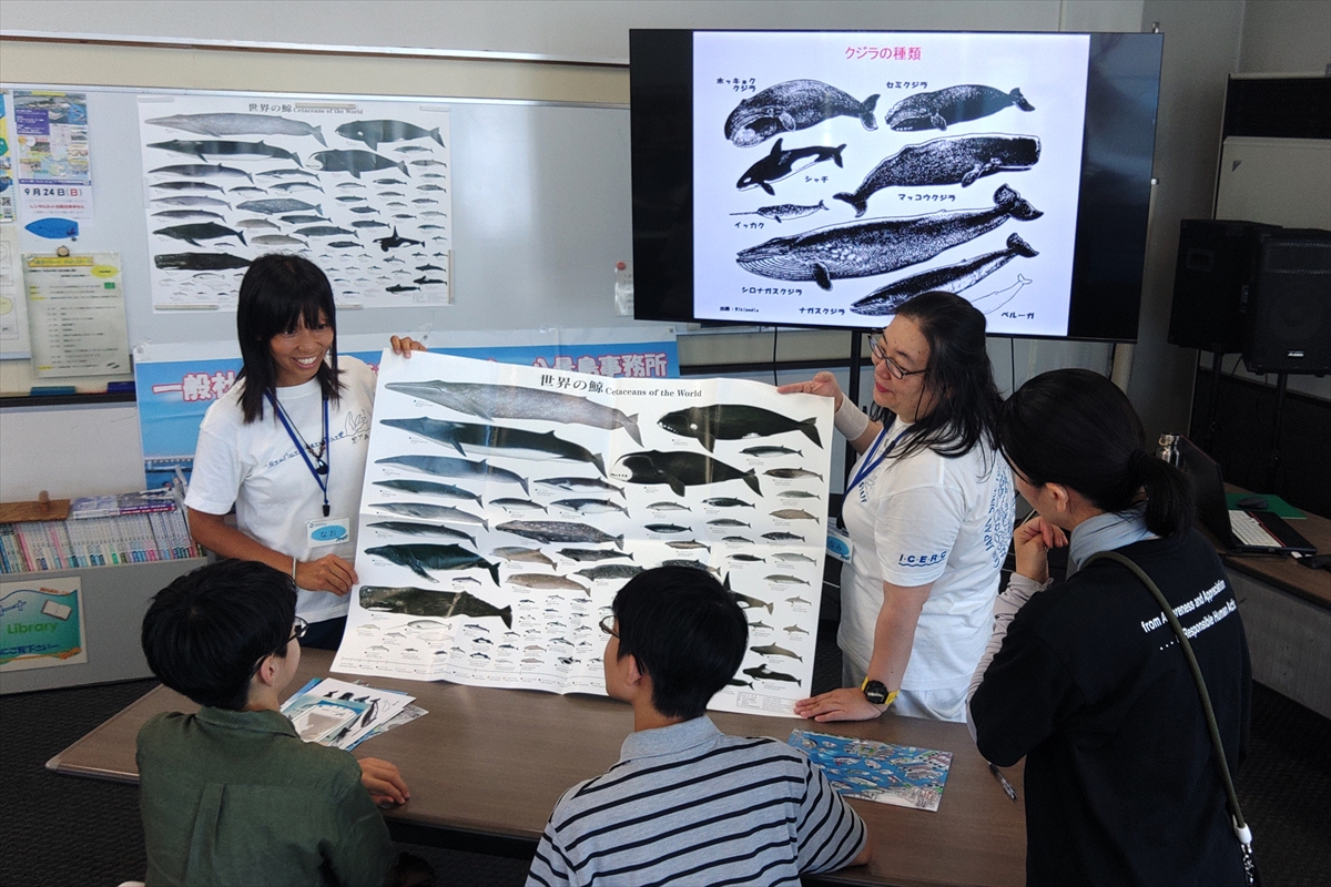 八景島マリーナ主催「クジラキャンプ」9月 環境編を担当しました