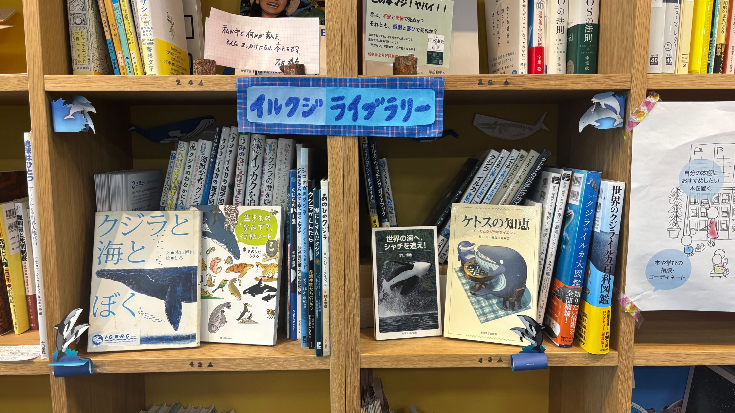 イルカ・クジラ、海の環境にまつわる本の展示 in 兵庫県明石市 | ICERC