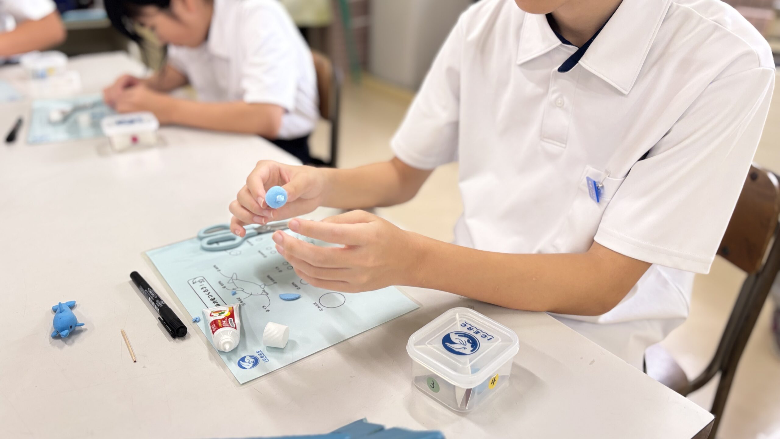 明石市立大蔵中学校　あかしSDGs出張講座「ねんどでイルカをつくろう」を行いました